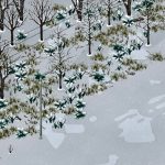 Миниатюра к 