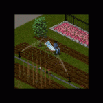 Миниатюра к 